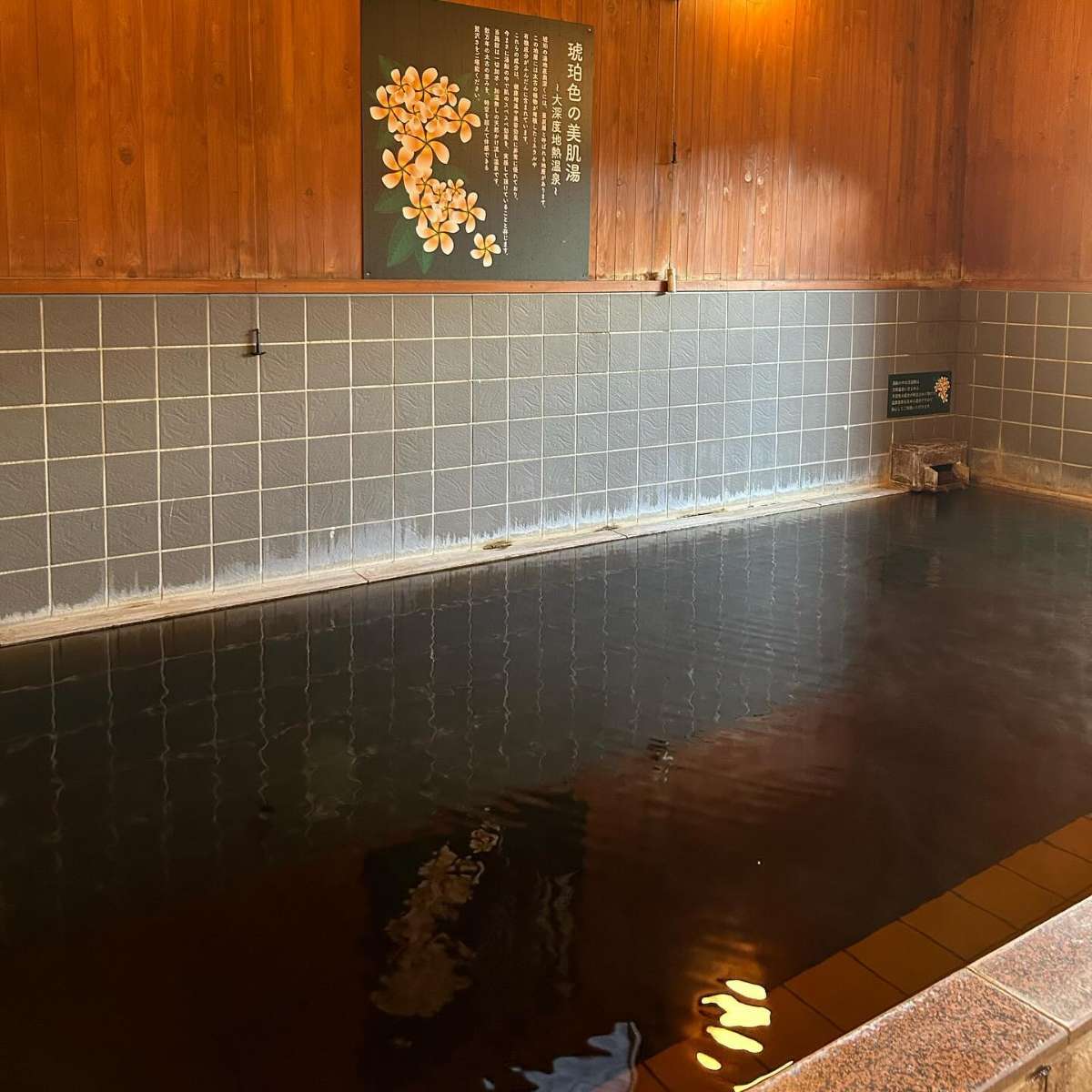 まるた屋温泉 西方の湯：内風呂